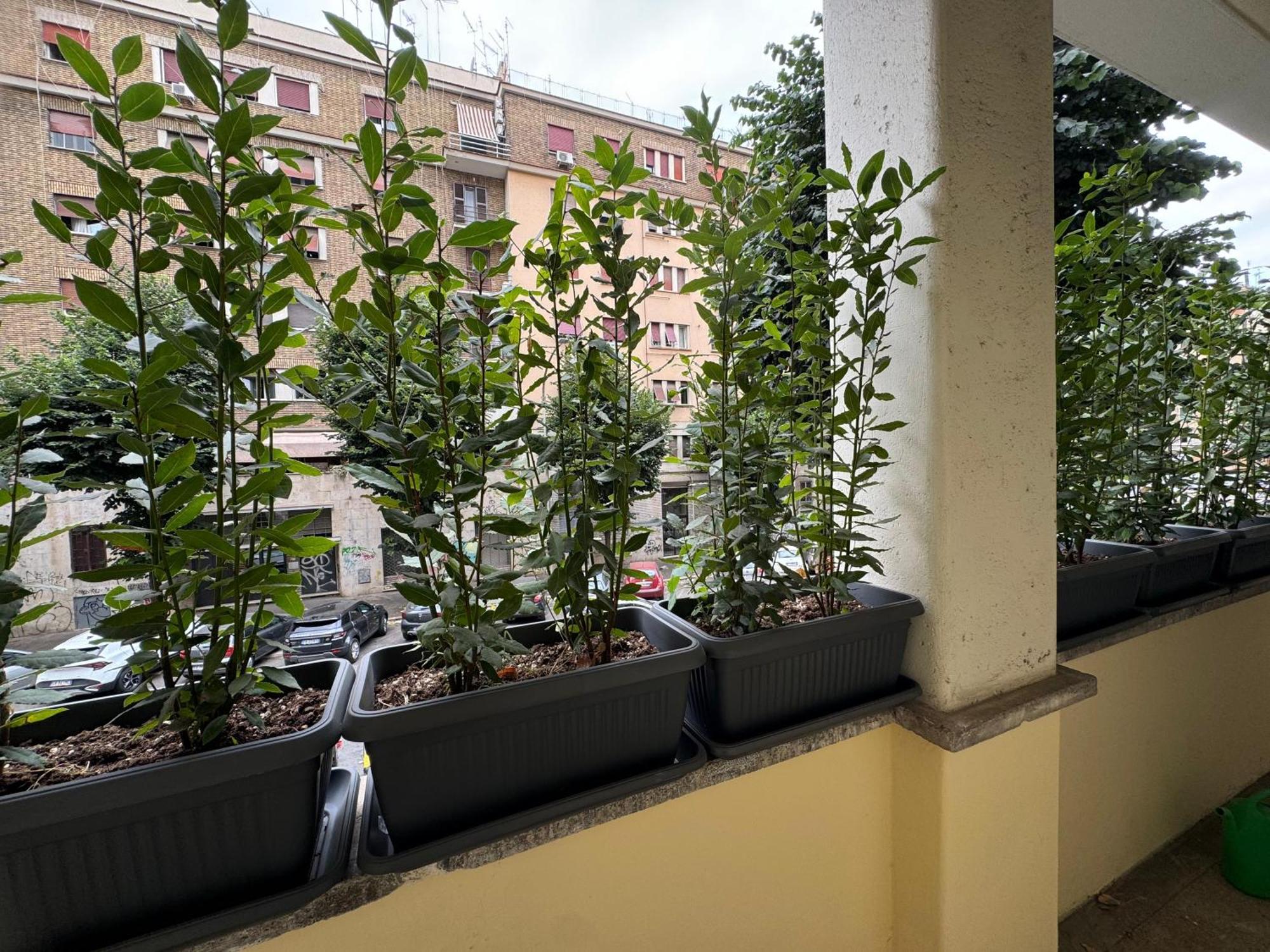 Appartement Star Light Family